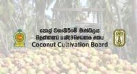 Compensation for Coconut Trees Damaged by Disaster